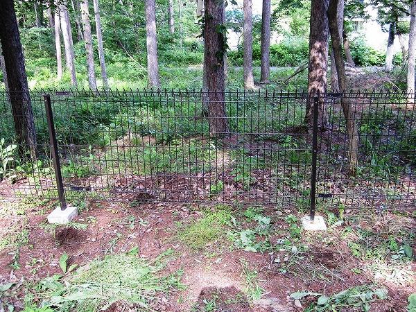 Garden. Appearance of the fence surrounding the garden (use front owner in the dog run)