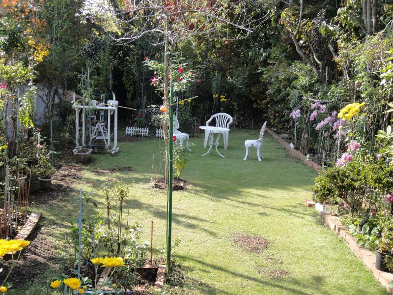 Garden. Lawn is laid is a landscaped garden