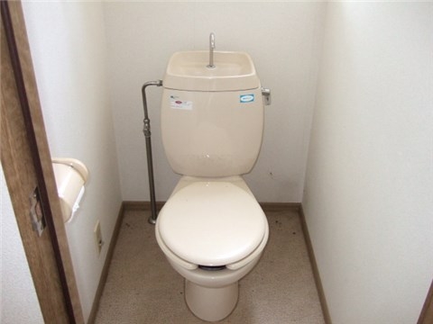 Other. Western-style toilet