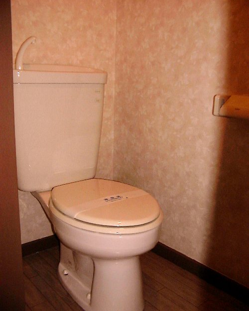 Toilet. Toilet