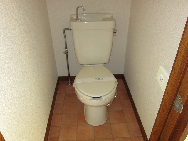 Toilet. Western-style toilet!