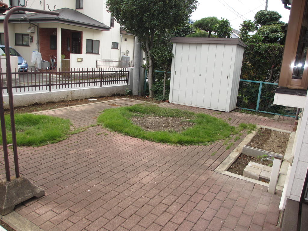 Garden. courtyard