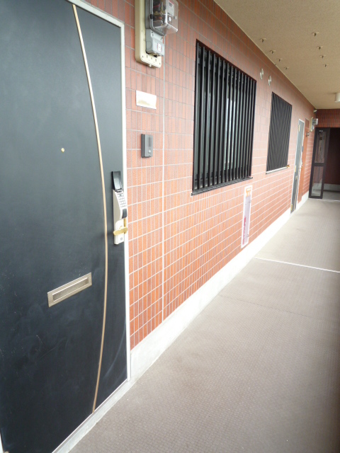 Entrance. Electronic lock key is key