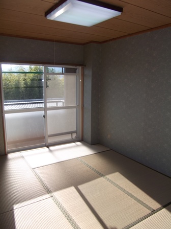 Living and room. Good bright Japanese-style room per yang