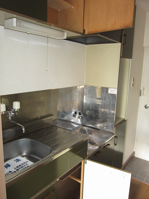 Kitchen. There is housed in the sink top and bottom! !