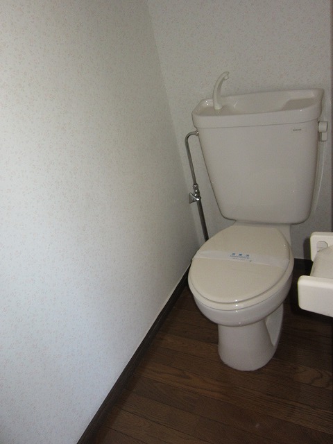 Toilet. Western-style toilet.