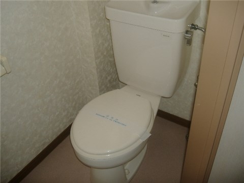 Other. Toilet