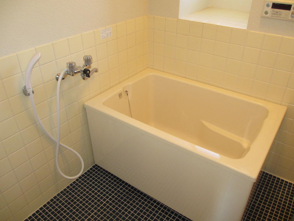 Bath. Bathtub