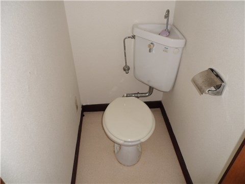 Other room space. Toilet