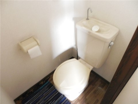 Other. Toilet