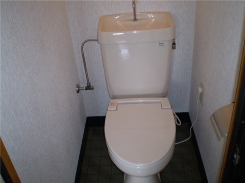 Other. Toilet