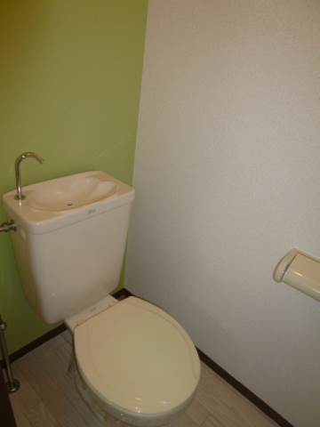 Toilet. Color renovation