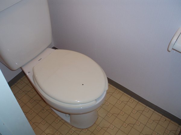 Other. Toilet