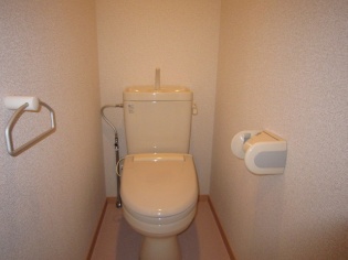 Toilet. Toilet