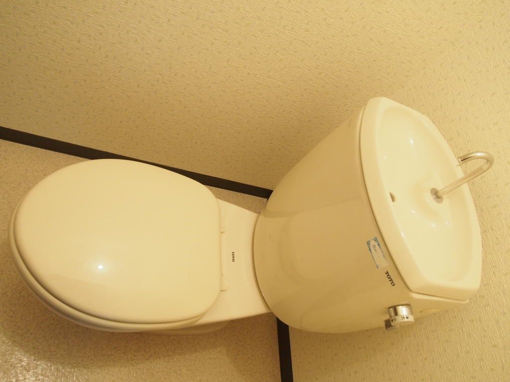 Toilet. There is little storage in toilet.