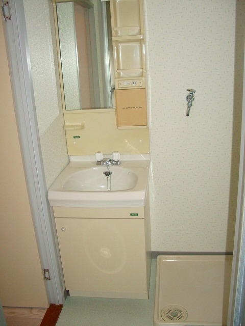 Washroom. Bathroom vanity