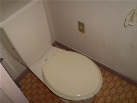 Other. Toilet