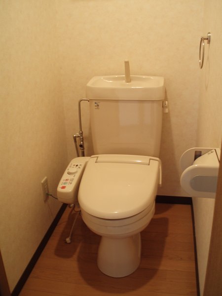 Other. Toilet