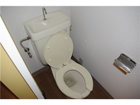 Other. Toilet