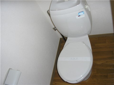 Other. Toilet