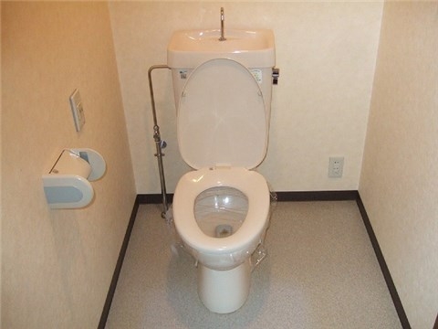 Other. Toilet