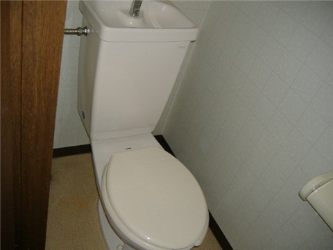 Other. Toilet