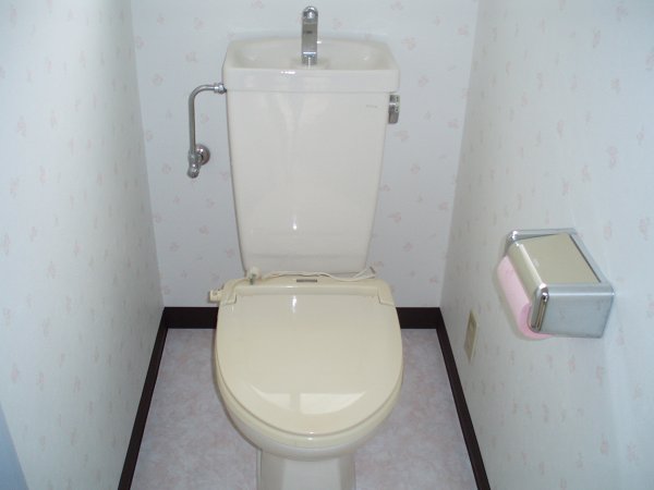 Other. Toilet