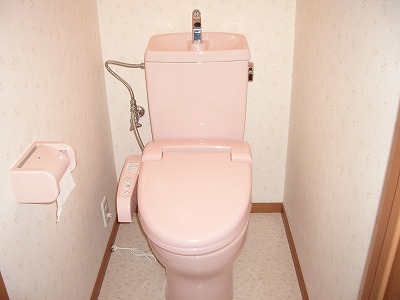 Toilet. Heating hot water toilet seat Very beautiful