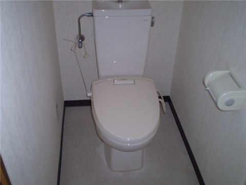 Other. Toilet (with heating toilet seat)