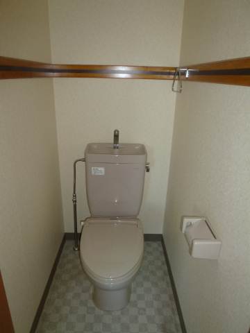 Toilet. Current state priority