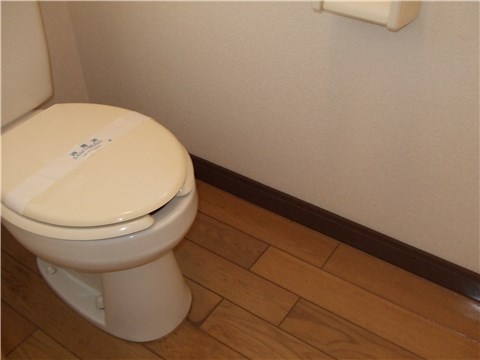 Other. Toilet