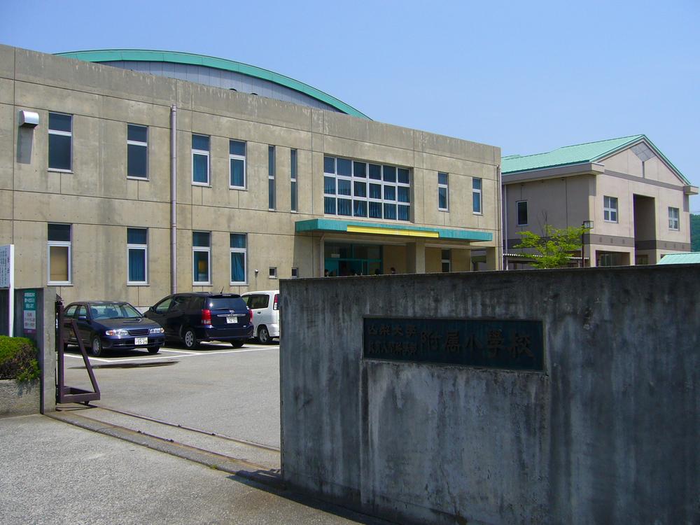 Other local. University of Yamanashi included elementary school