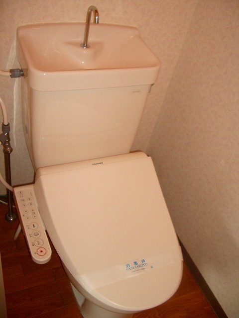 Toilet. Bidet