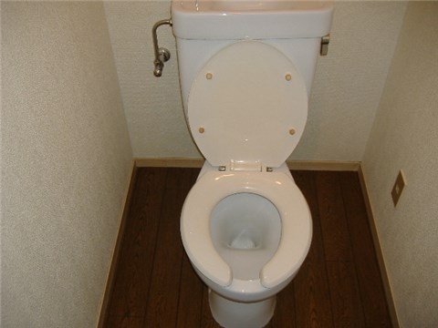 Other. Toilet