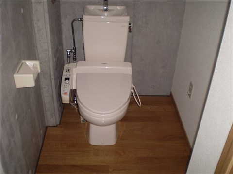 Other. Bidet