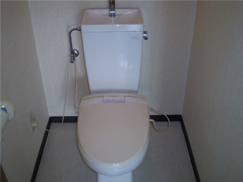 Other. Toilet