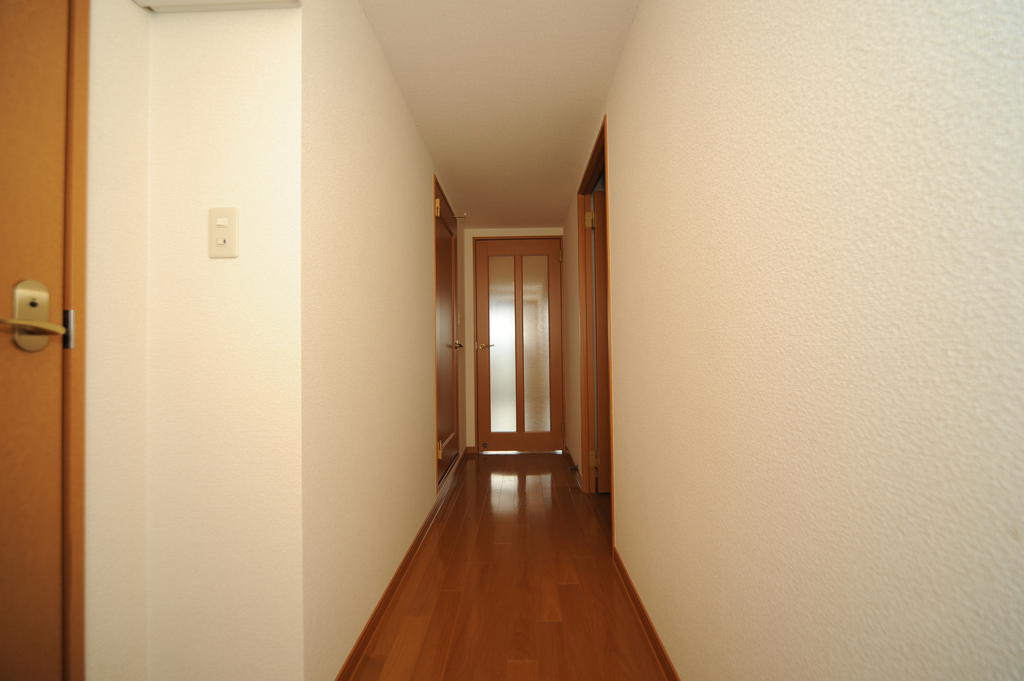 Other room space. Spacious hallway of the apartment unique.