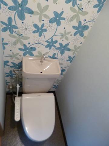 Toilet. Cross is an example