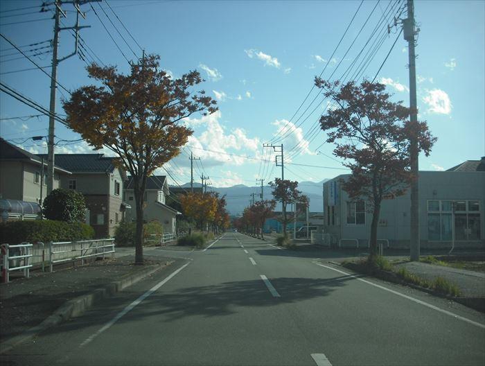 Other. Neighborhood landscape (1)