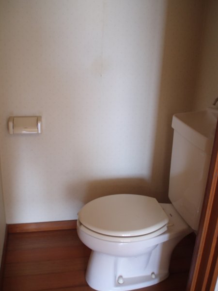 Other. Toilet