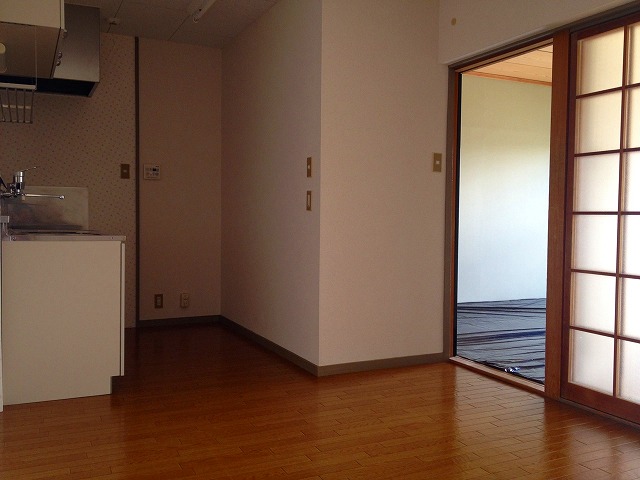 Other room space. A little spread of dining kitchen