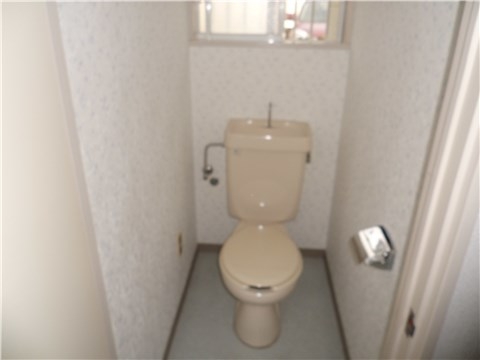 Other room space. Toilet