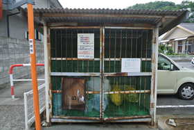 Other common areas. On-site trash yard