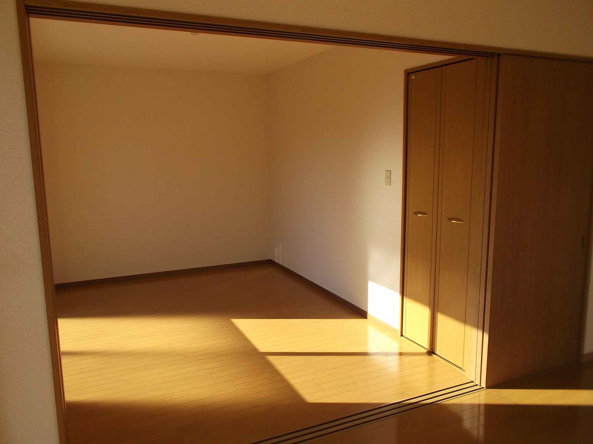 Other room space. It is the south side of the Western-style flooring