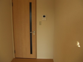 Living and room. Western-style inlet door and TV Intercom