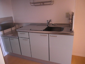 Kitchen. Sink