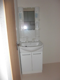 Washroom. Bathroom vanity