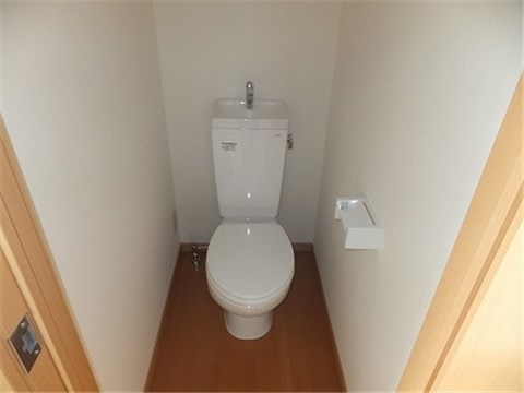 Other. Toilet