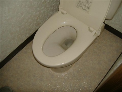 Other. Western-style toilet