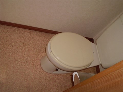 Other. Toilet